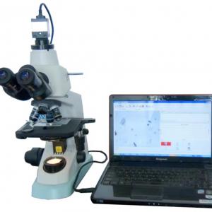 Carbon Black Dispersion Tester
