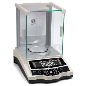 Laboratory Professional Type Anlalytical Balance 0.1mg